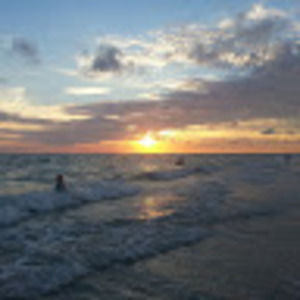 Meet your Posher, Joe